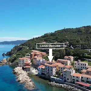 Appartamento Casa Cotone